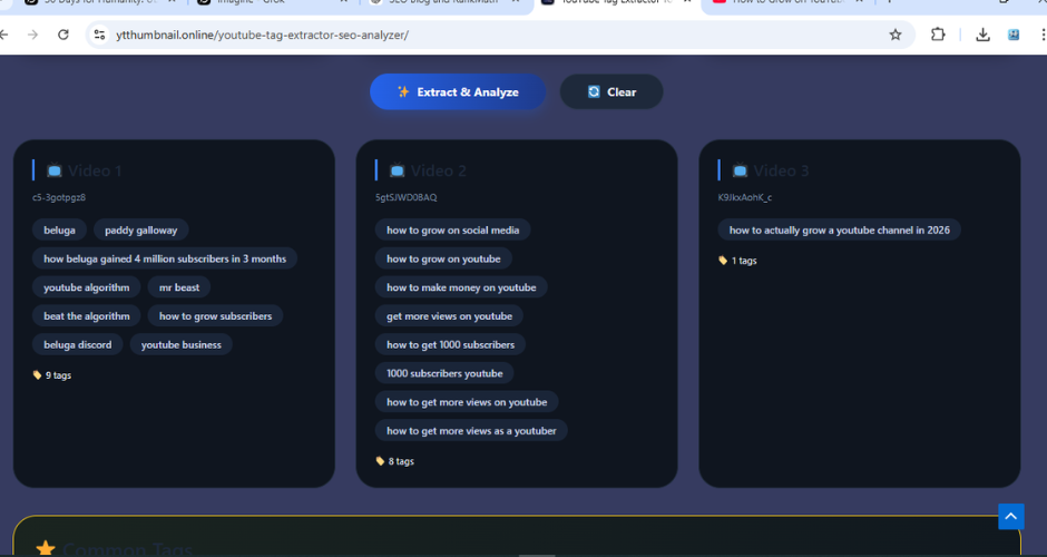 YouTube Tag Extractor 03